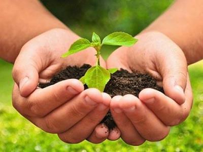 La agroecología transforma el sistema&nbsp;alimentario