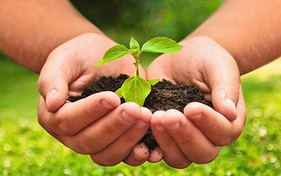 La agroecología transforma el sistema&nbsp;alimentario